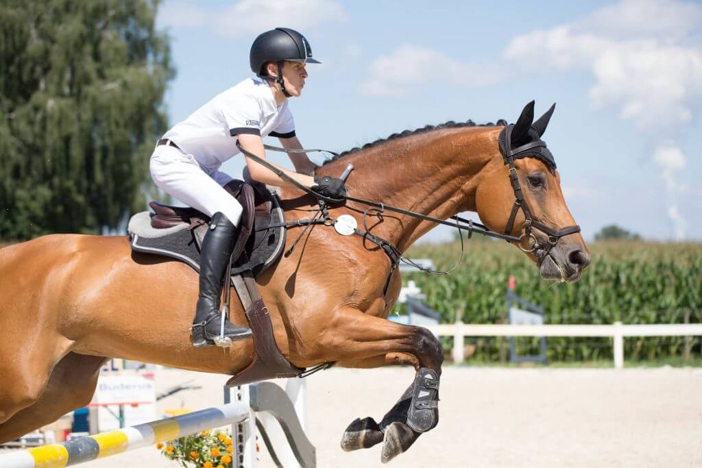 Turnierreiten Folke Jaedicke Reitmentalcoach