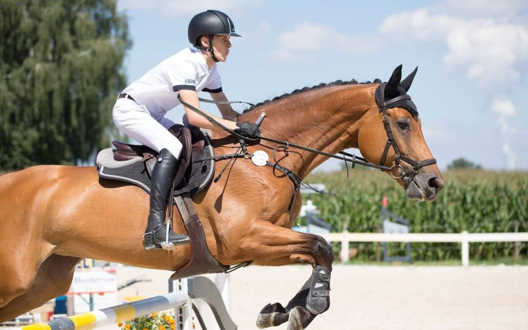 Turnierreiten Folke Jaedicke Reitmentalcoach