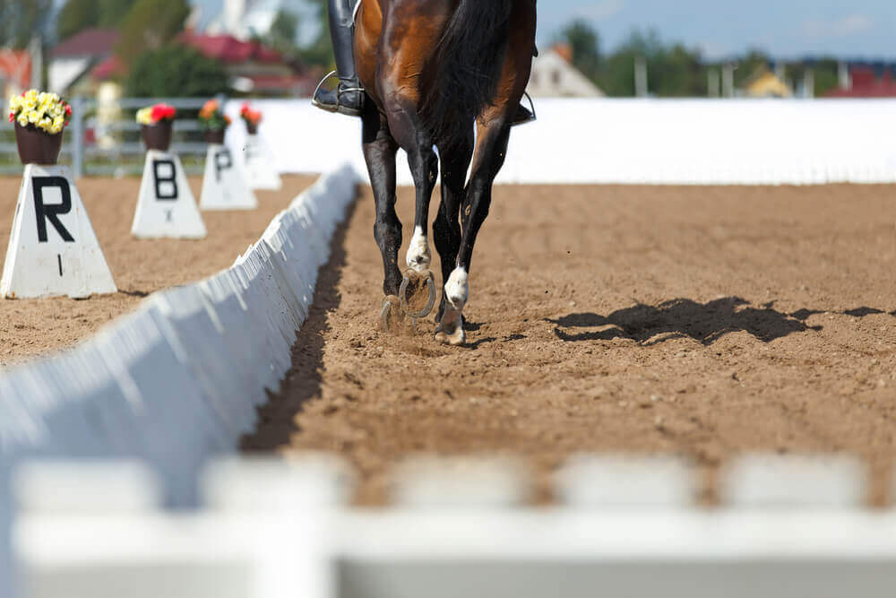 Turnierreiten Folke Jaedicke Reitmentalcoach