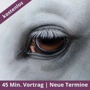 Augen auf beim Pferdekauf - Kostenloser Vortrag
